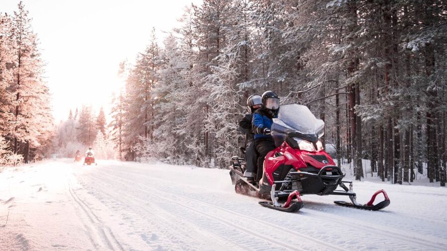 Rovaniemi: Snowmobile Safari into the Arctic Circle Forest - What happens at the Wild Nordic safari center
