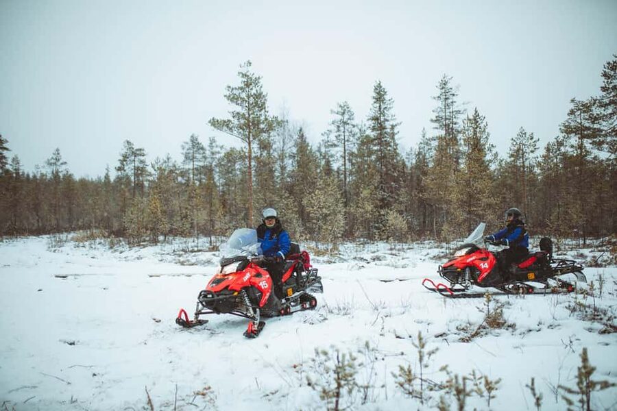 Rovaniemi: Snowmobile Safari into the Wilderness - Through the pine forests and frozen marshes