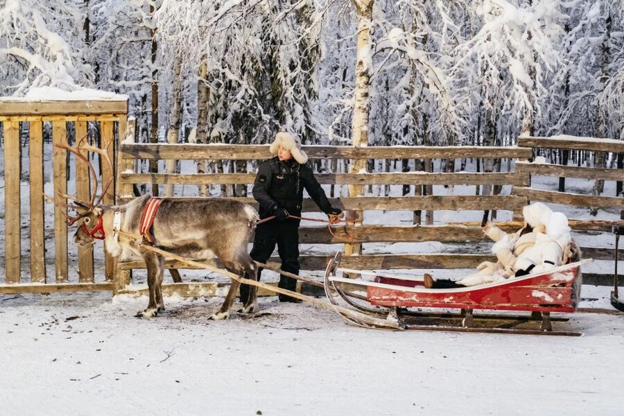 Rovaniemi: Snowmobile Safari, Reindeer & Husky Sleigh Ride - Should you book it?