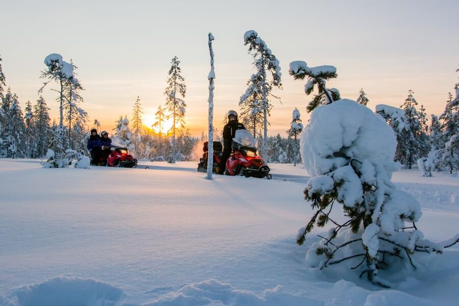 Rovaniemi: Snowmobile Safari to a Reindeer Farm - Meeting the reindeer and their herders