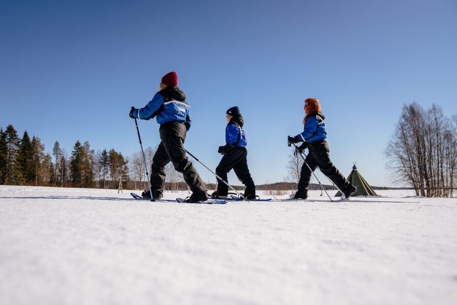 Rovaniemi: Snowshoe Walk to The Arctic Nature - Booking details that can affect your day