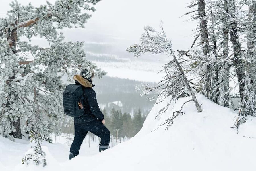 Rovaniemi: Snowshoeing in the Arctic Wilderness - Forest stories, wildlife, and Finnish traditions