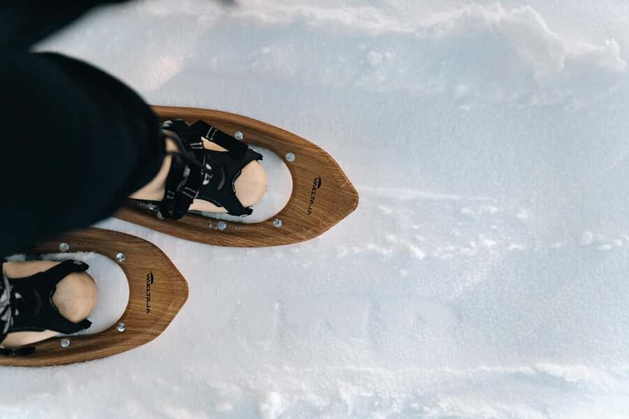 Rovaniemi: Snowshoeing in the Arctic Wilderness - Practical booking advice