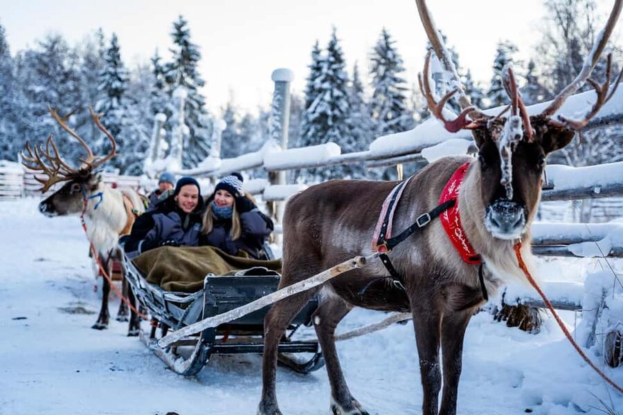 Rovaniemi: Tour to Santa Claus Village with Hotel Transfer - My call: book it for an easy Santa day