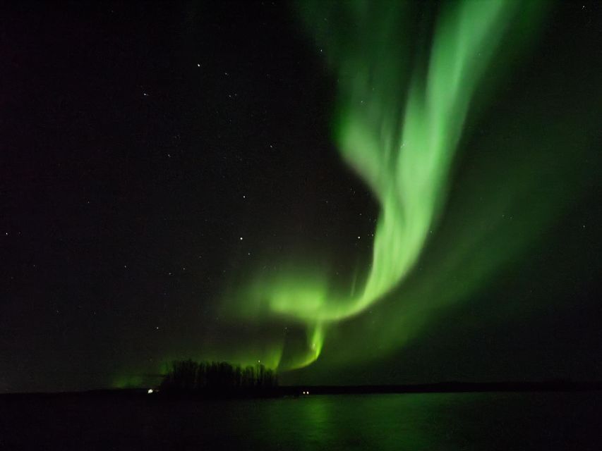 Rovaniemi: Traditional Sauna and Ice Swimming Experience - A Real Finnish Sauna, Not a Hotel Wellness Room