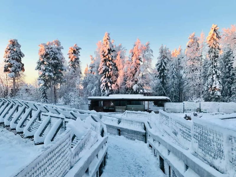Rovaniemi: Trip to Ranua Zoo with Tickets - Walking among Arctic animals