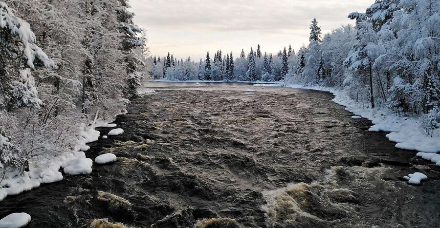 Rovaniemi: Vaattunki Hiking Arctic Circle Trail - Who should book this hike?