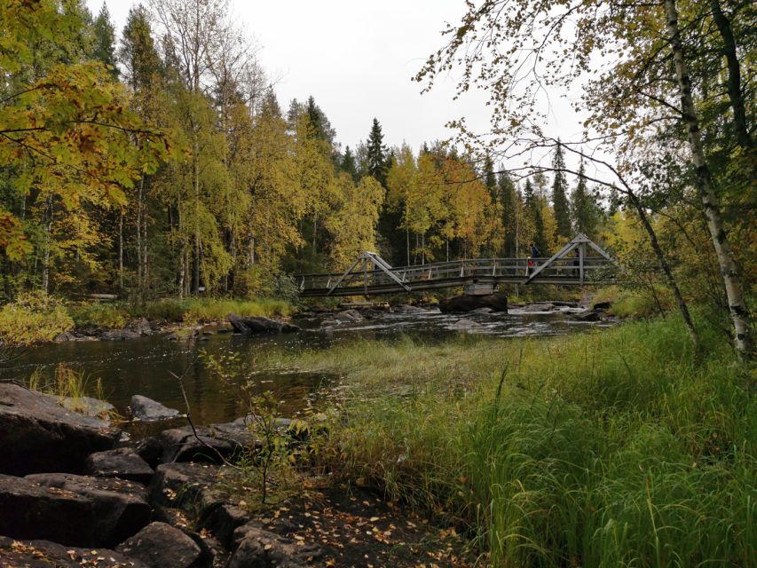 Rovaniemi: Vaattunki Hiking Arctic Circle Trail - Walking through forests and open marshes