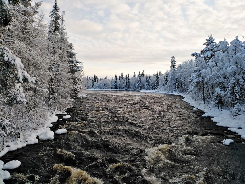 Rovaniemi: Vaattunki Hiking Arctic Circle Trail - Vaattunkiköngäs Falls