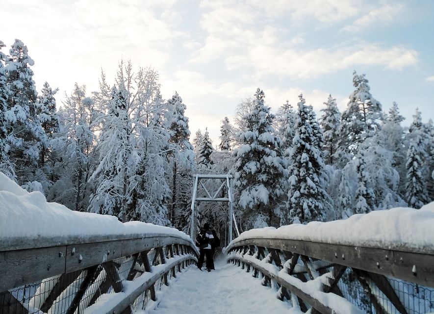 Rovaniemi: Vaattunki Hiking Arctic Circle Trail - Pickup and the start of the walk