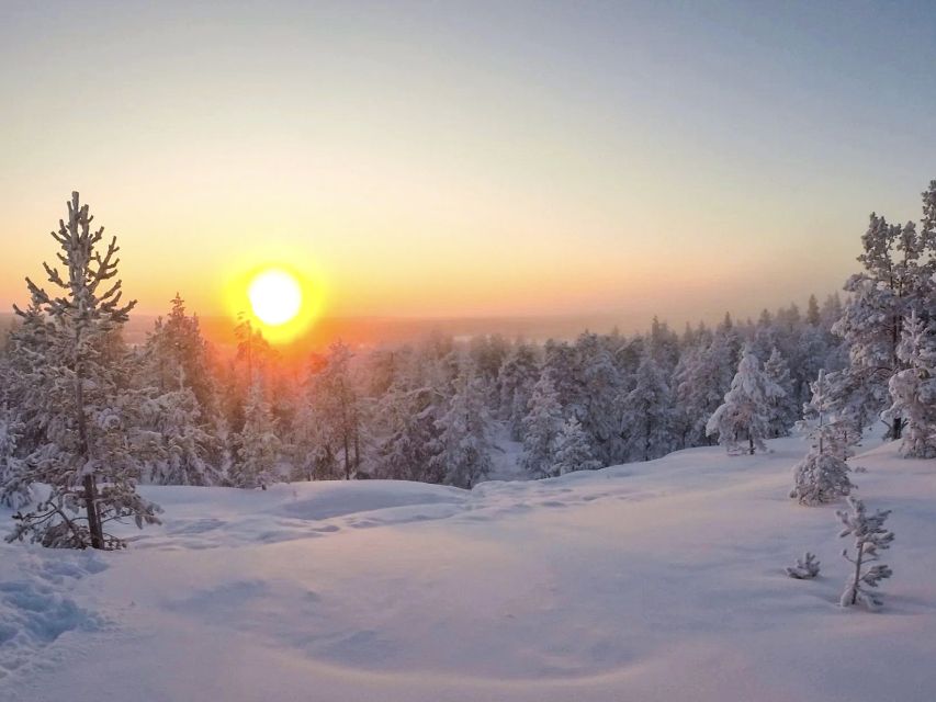 Rovaniemi: Wilderness Tour - Who will enjoy this outing most?