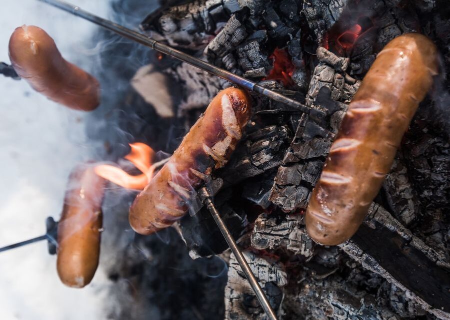 Rovaniemi: Wilderness Tour - Into Rovaniemi’s forest, away from the city