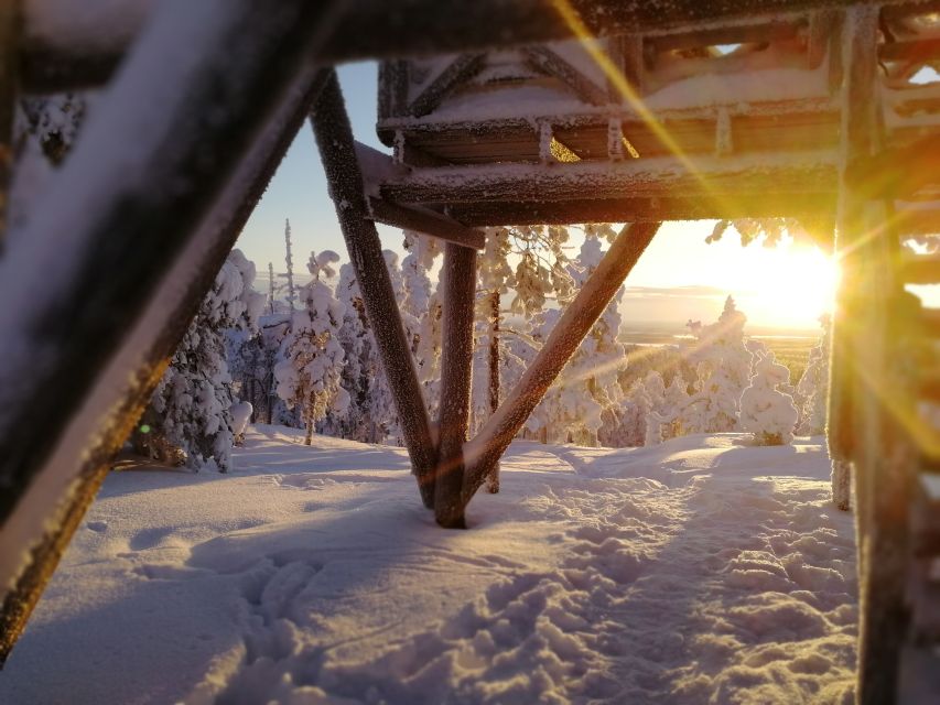 Rovaniemi: Wilderness Tour - Building a fire without matches