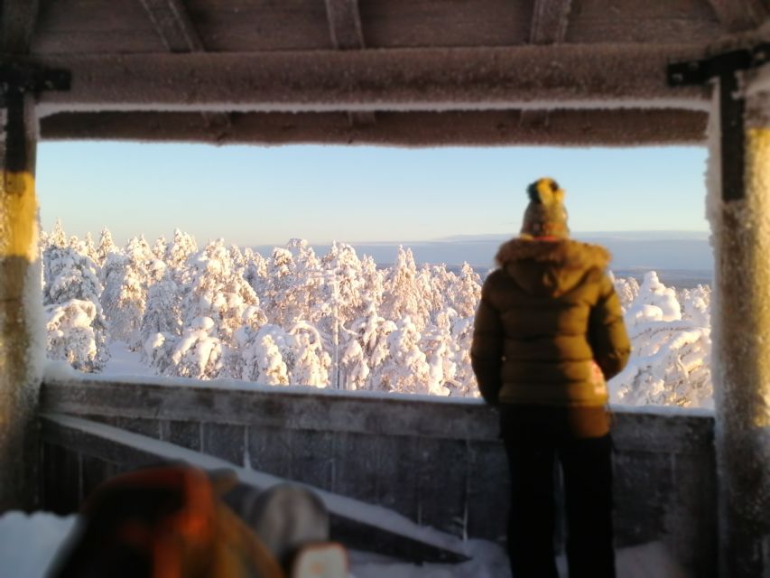Rovaniemi: Wilderness Tour - Campfire food, hot drinks, and a warm finish