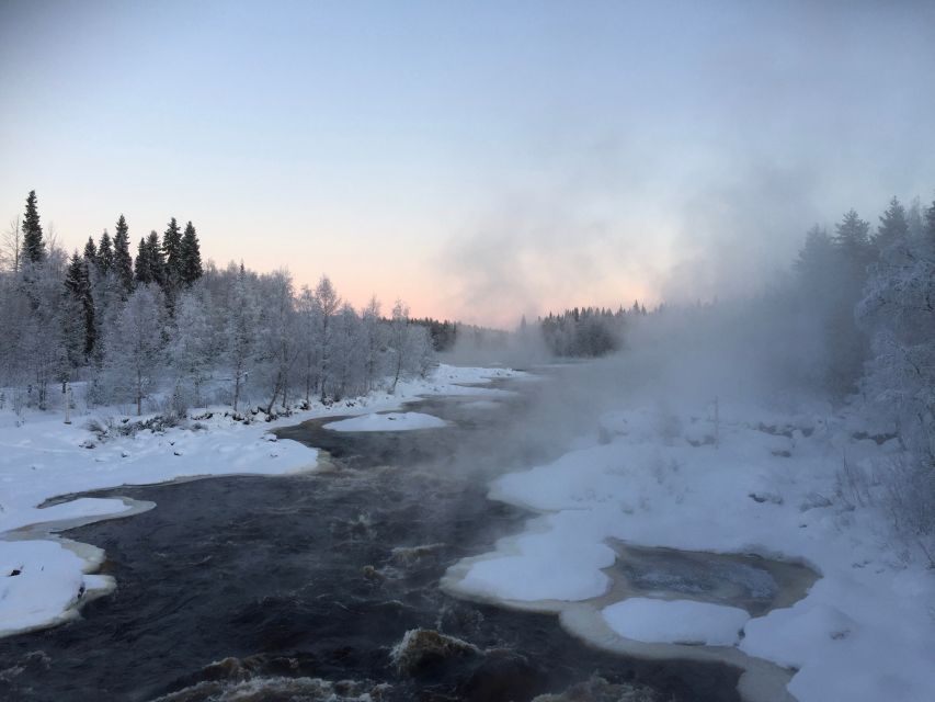 Rovaniemi: Wilderness Tour - Is $104 a fair price?