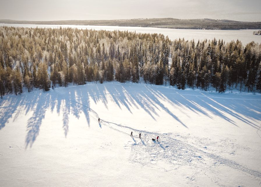 Rovaniemi: Winter Wilderness Snowshoeing Trip - Key points to know before you book