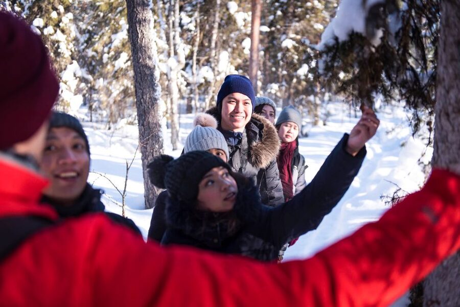 Rovaniemi: Winter Wilderness Snowshoeing Trip - Following the forest route through frozen swamps and lakes