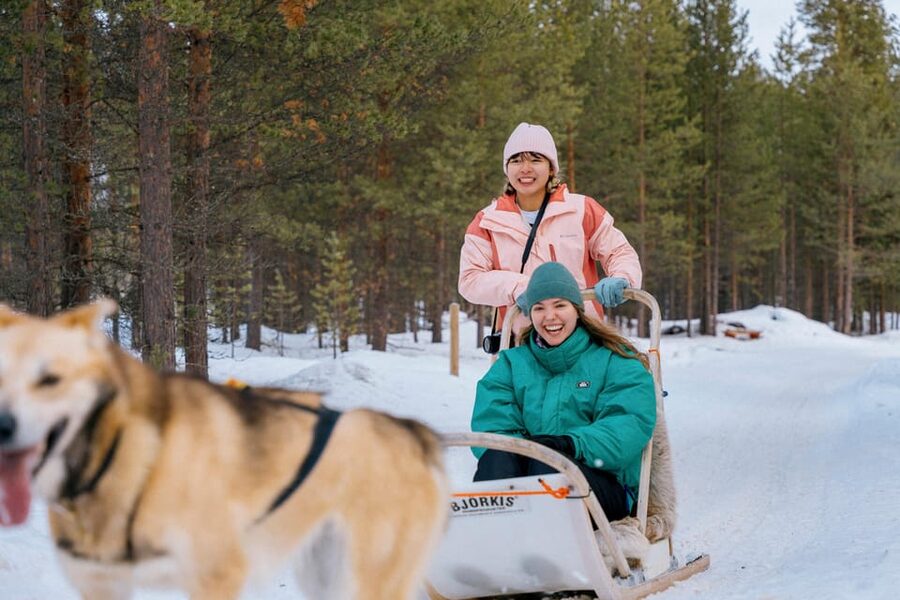 Saariselkä: 10KM Husky Safari with kennel visit - Driving a husky team through the Veskoniemi forest