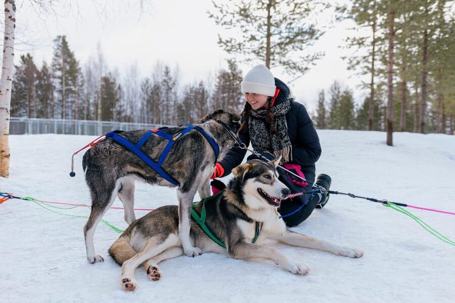 Saariselkä: 10KM Husky Safari with kennel visit - The hot drink and the quiet hour after the run