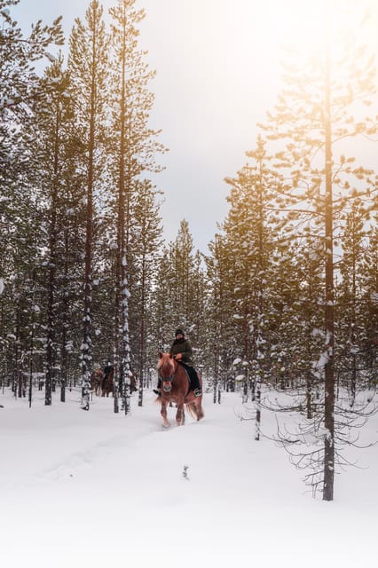 Saariselkä: Arctic Trail Horse Riding Tour - What happens at Polaris Point Horses