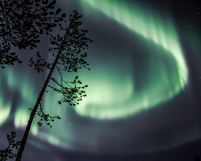 Saariselkä: Aurora Photo Tour by Car with Transfer & Drinks - The guide can make or break the evening