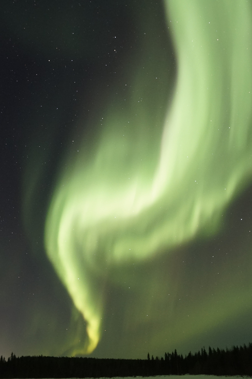 Saariselkä: Aurora Photo Tour by Car with Transfer & Drinks - Who should book this experience?