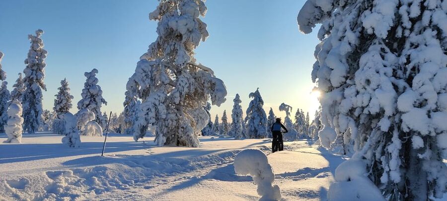 Saariselkä: Guided Fatbike Tour - Riding straight from the Saariselkä office