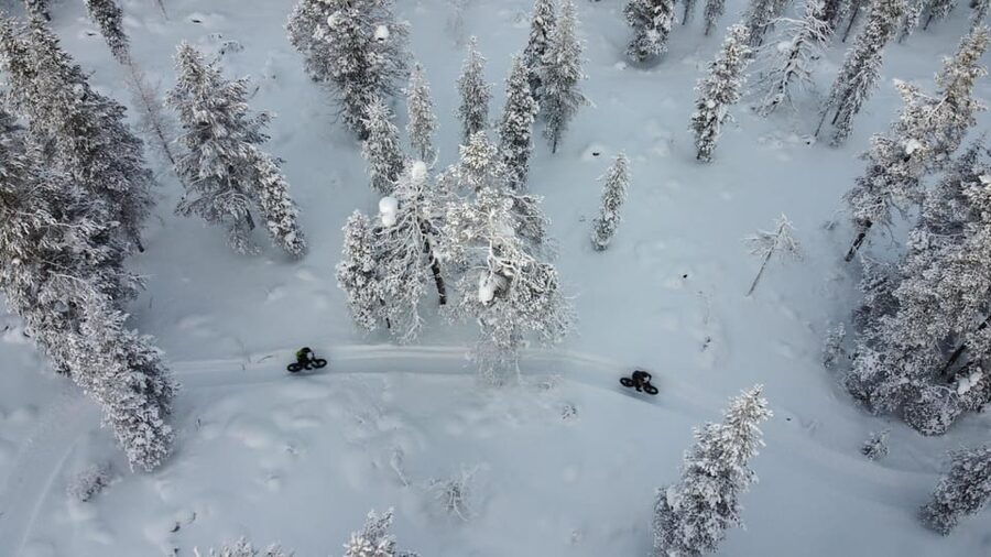 Saariselkä: Guided Fatbike Tour - What the bike choice means in real terms