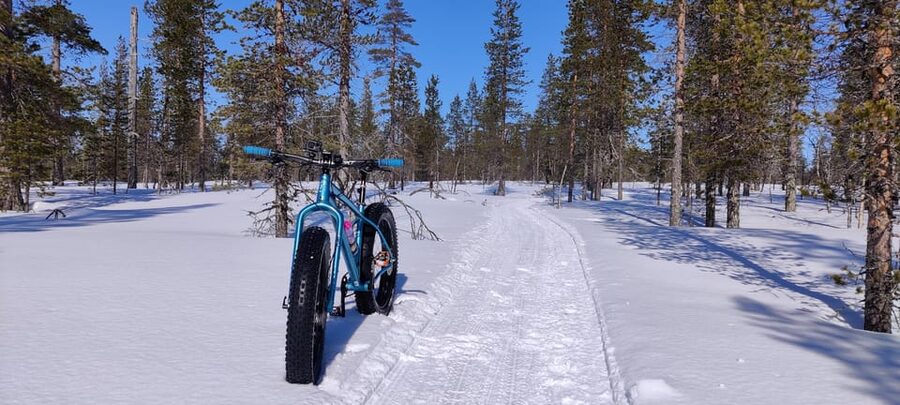 Saariselkä: Guided Fatbike Tour - Small group, flexible pace, mixed ability