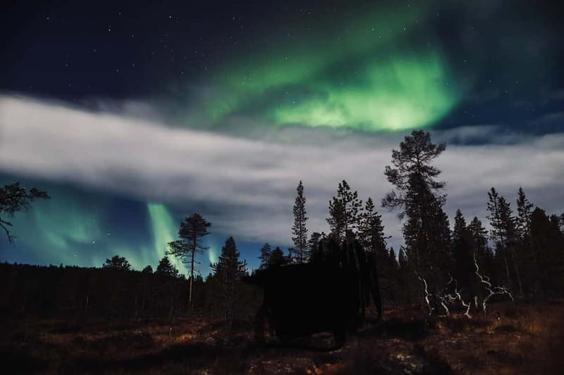 Saariselkä,Kakslauttanen: Aurora Hunting & Photography Tour. - Photo stops and the promise of a lasting record