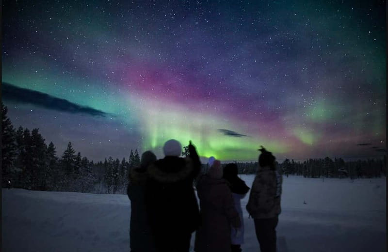 Saariselkä,Kakslauttanen: Aurora Hunting & Photography Tour. - Who will enjoy this tour most?
