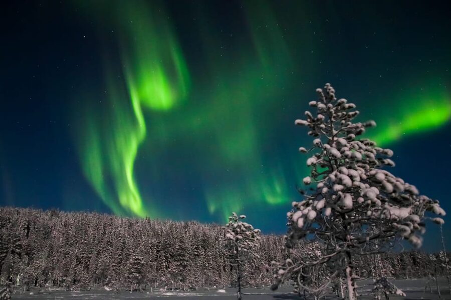 Saariselkä: Northern Lights Hunting Snowshoe Trip - Key points to know