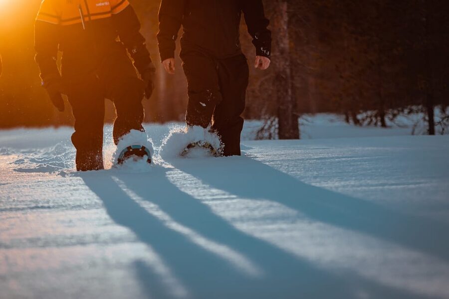 Saariselkä: Northern Lights Hunting Snowshoe Trip - Watching the sky without false promises