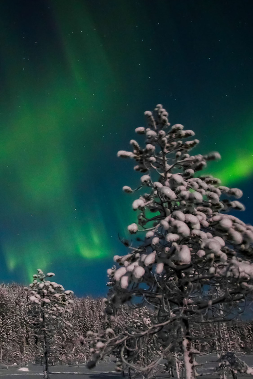 Saariselkä: Northern Lights Hunting Snowshoe Trip - A hot chocolate break in the middle of nowhere