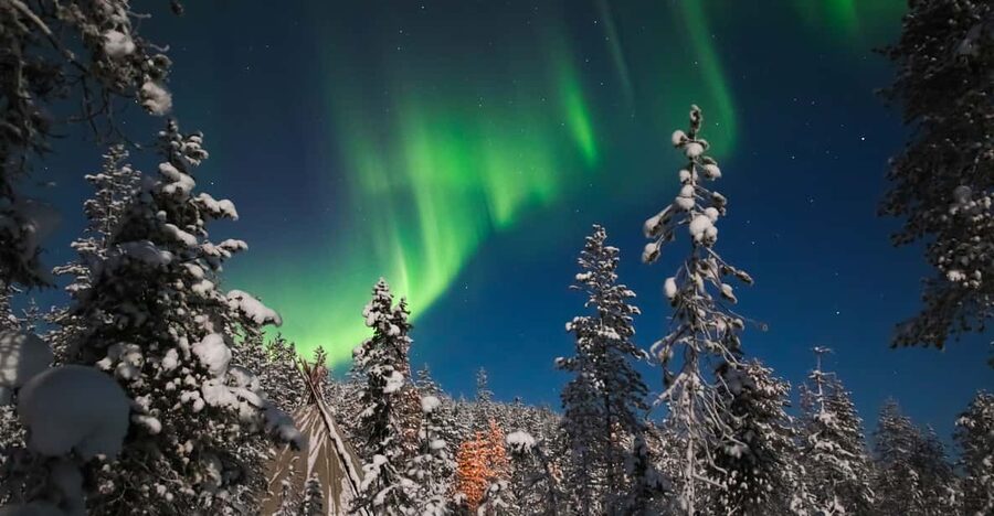 Saariselkä: Northern Lights Hunting Snowshoe Trip - Timing and pickup details that matter