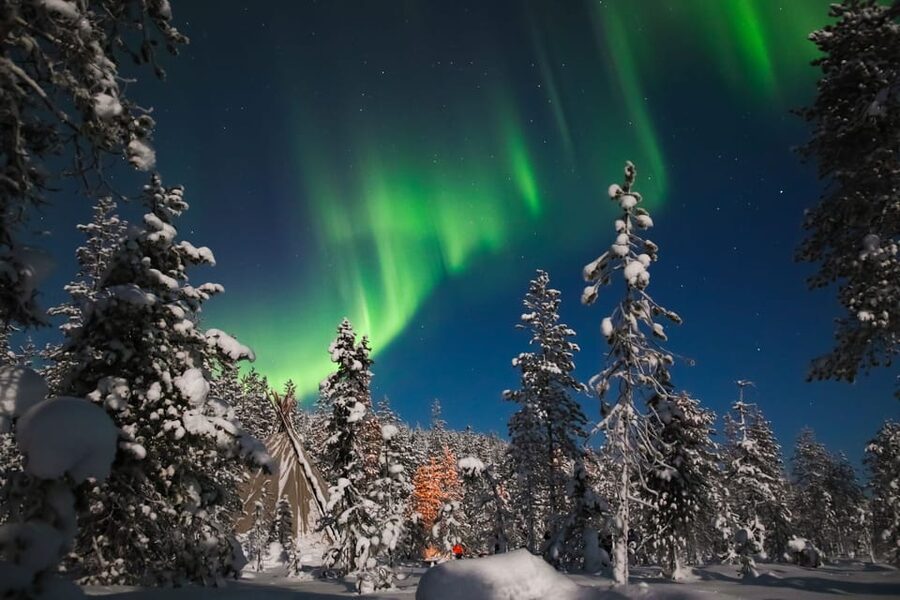 Saariselkä: Northern Lights Hunting Snowshoe Trip - Learning snowshoes before the forest walk