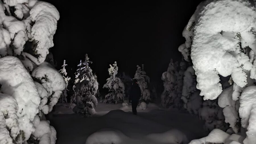 Saariselkä: Snowshoeing Tour in Urho Kekkonen National Park - Following a route chosen for the day