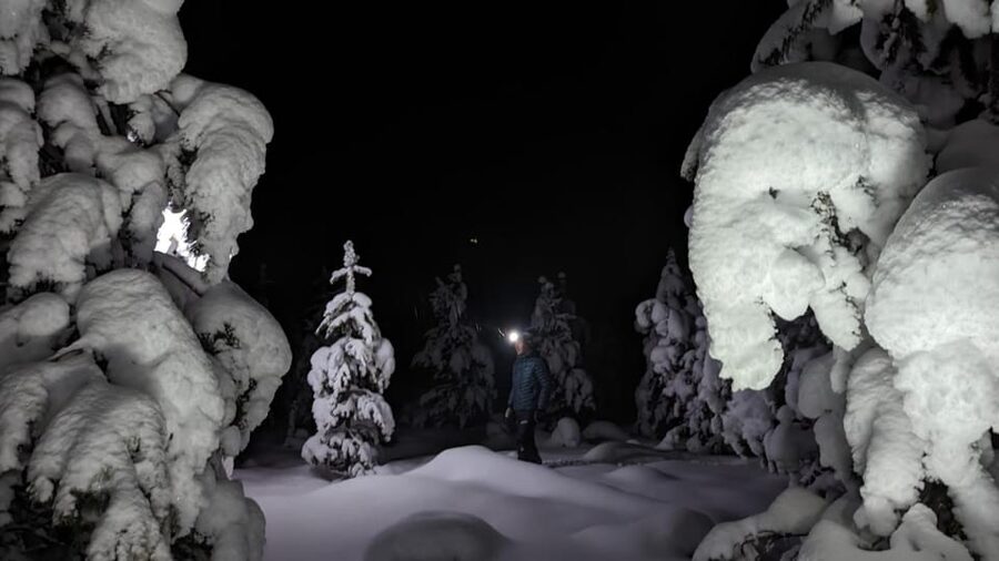 Saariselkä: Snowshoeing Tour in Urho Kekkonen National Park - The warm drink and the overall value