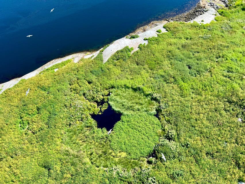Saltstraumen: Arctic Adventure and Scenic Journey - Key points at a glance