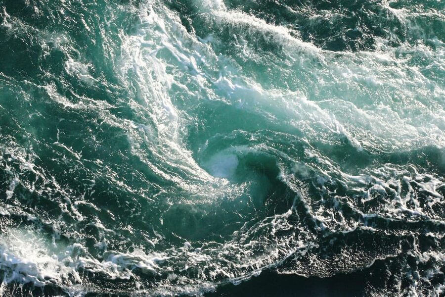 Saltstraumen: Arctic Adventure and Scenic Journey - Who will get the most from this tour