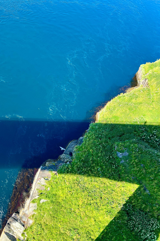 Saltstraumen: Arctic Adventure and Scenic Journey - A human story reaching back 10,000 years