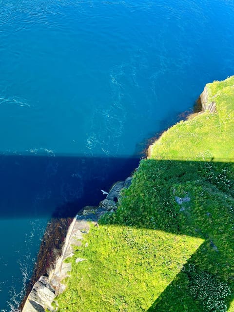 Saltstraumen: Arctic Adventure and Scenic Journey - Seeing more than one side of the strait
