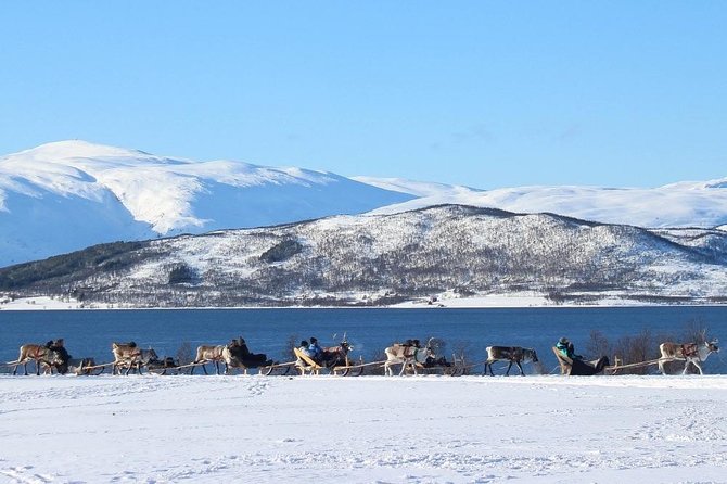 Sami Culture and Short Reindeer Sledding from Tromso - Bidos, coffee, and a warm lavuu