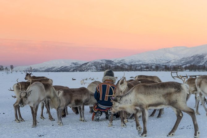 Sami Culture and Short Reindeer Sledding from Tromso - Sami stories and the sound of a joik