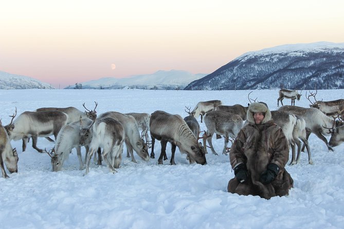 Sami Culture and Short Reindeer Sledding from Tromso - Who will enjoy this Tromso activity?