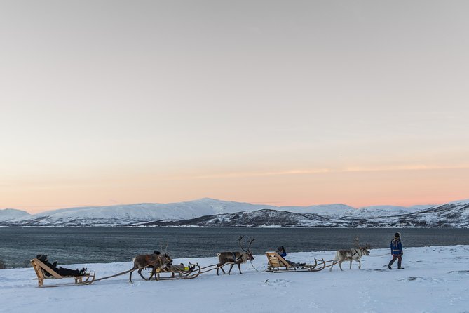 Sami Culture and Short Reindeer Sledding from Tromso - Booking, clothing, and weather advice