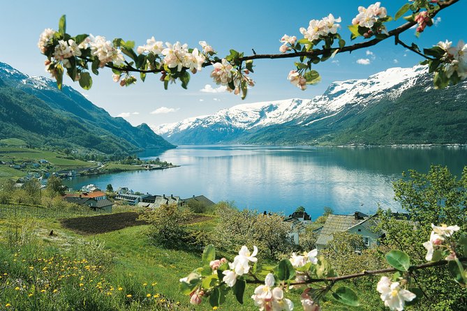 Self-Guided 22-Hour Round Trip From Oslo To Sognefjord With Flåm Railway - Voss and the Run to Bergen