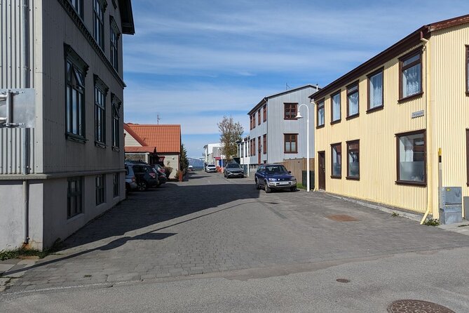 Self-Guided Tour of Ísafjörður: Art, History, and Architecture - Culture House Eyrartún and local art