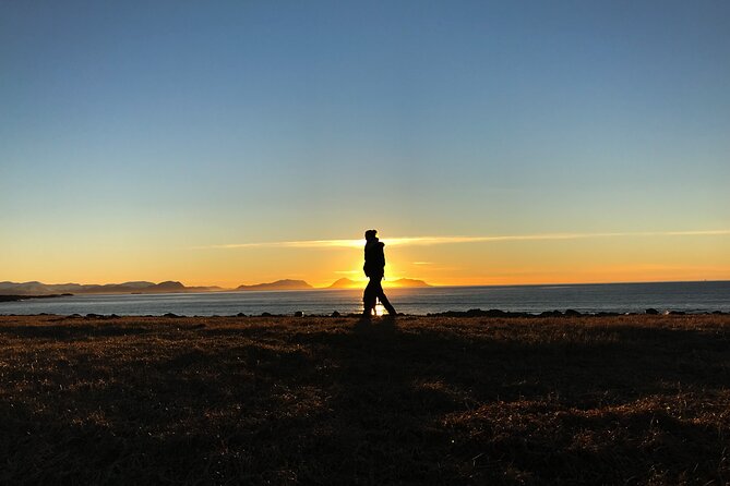 Shore Excursions Ålesund: Highlights Ålesund & Islands - Pickup, timing, and cruise-day details