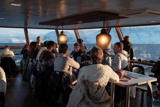 Silent Whale Watching by Hybrid-Electric Boat from Tromsø - One to two hours near the feeding area